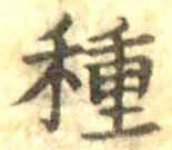 글자 種