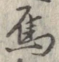 位置定マレル烏