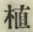 글자 植