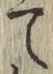 字て