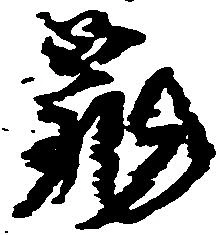 已定位亀