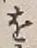 글자 を
