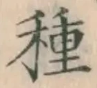 글자 種