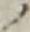 字ノ