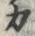 𡨸カ