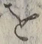 字を