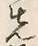 글자 先