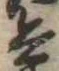 兵 위치 확인됨