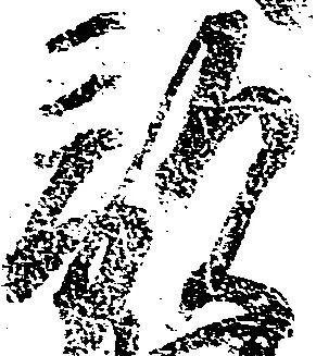 敵 위치 확인됨