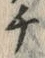 𡨸チ