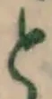 글자 と