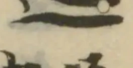 𨕍の位置