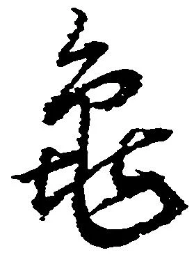 已定位亀