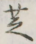 芝 위치 확인됨