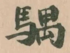 𩤛 위치 확인됨