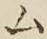 글자 ム