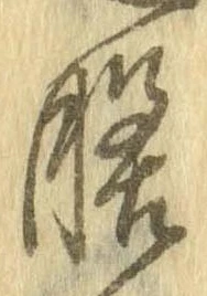 膳 위치 확인됨