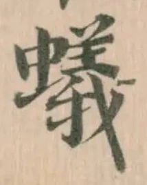 Đã định vị 蟻
