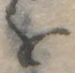 位置定マレル𛄜
