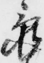 已定位亀