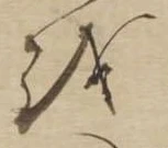 位置 確認된 𛄚