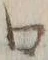 文字口