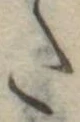 𛁠の位置
