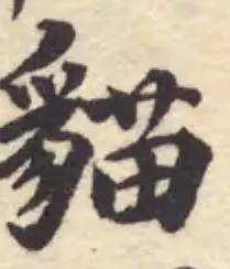 Đã định vị 貓