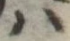 𛂞 위치 확인됨