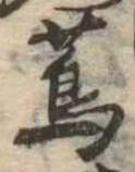 蔦 위치 확인됨