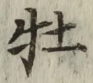 Character 牡