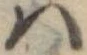 𛂞の位置