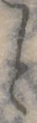 位置 確認된 と