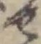 せの位置