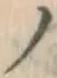 字ノ