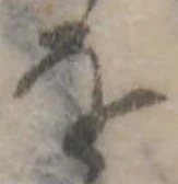位置定マレル𛄜