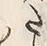 Character た
