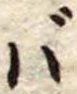ば 위치 확인됨