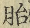 文字胎