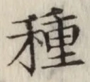 글자 種
