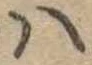 𛂞 위치 확인됨