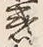 글자 惑