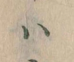 已定位𛂞
