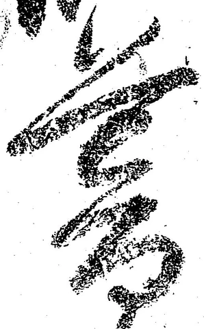 已定位暮