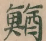 Đã định vị 鰌