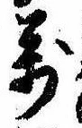 位置定マレル未定