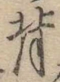 背 위치 확인됨