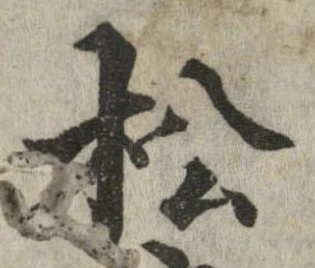 已定位松