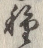 已定位種