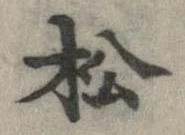 已定位松